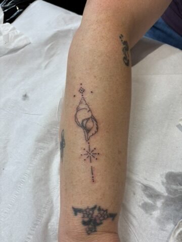 Fine line shell and star tattoo on the forearm